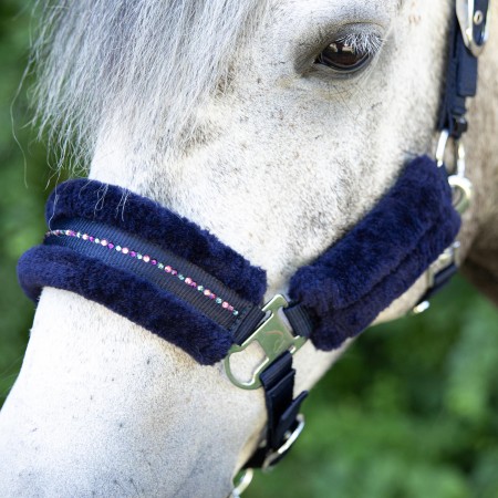 Cabezada de cuadra "DENICI CAVALLI Purple Passion Crystal" de HARRY'S HORSE