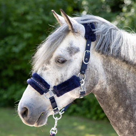 Cabezada de cuadra "DENICI CAVALLI Purple Passion Crystal" de HARRY'S HORSE