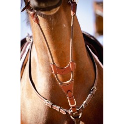 Tijerilla para pechopetral "BIP LIJERA" de PENELOPE