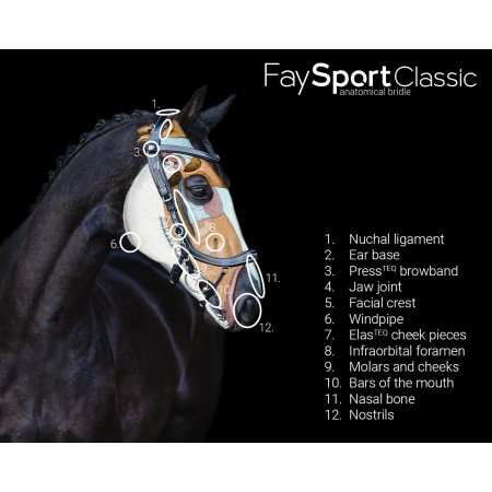Brida "FAYSPORT CLASSIC" de QHP