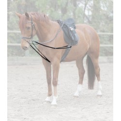 OT Riendas de Trabajo X-Line Simples "FILLIS" de WALDHAUSEN Negras talla Poni 2