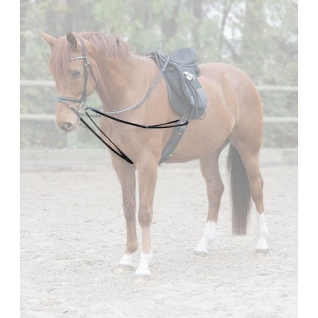 OT Riendas de Trabajo X-Line Simples "FILLIS" de WALDHAUSEN Negras talla Poni