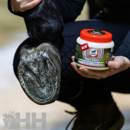 Balsamo para Cascos "HOOF BALM PREBIOTIC" de LEOVET