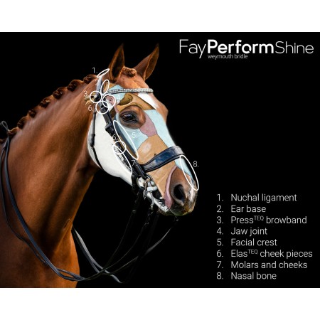 Brida de Doble Rienda de Charol "FAYPERFORM" de PRESTEQ