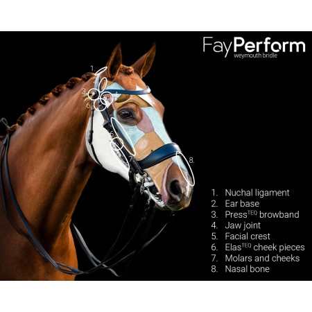 Brida de Doble Rienda "FAYPERFORM" de PRESTEQ