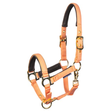 Cabezada de Cuadra para Potros "METAL" de HARRY'S HORSE