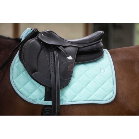 Salvacruz "AMORTIGUADOR V22" de LAMICELL