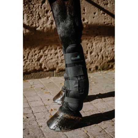 Protectores "FRESH COOL&DRY" de EQUITHÈME