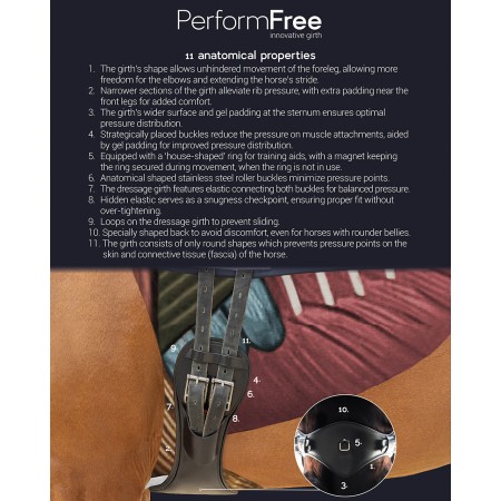 Cincha de Doma "PERFORM FREE" de PRESTEQ