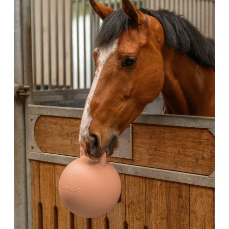 Juguete de Establo "FUN BALL" de WALDHAUSEN