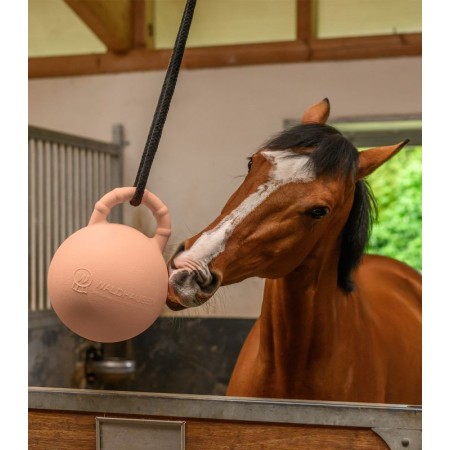 Juguete de Establo "FUN BALL" de WALDHAUSEN