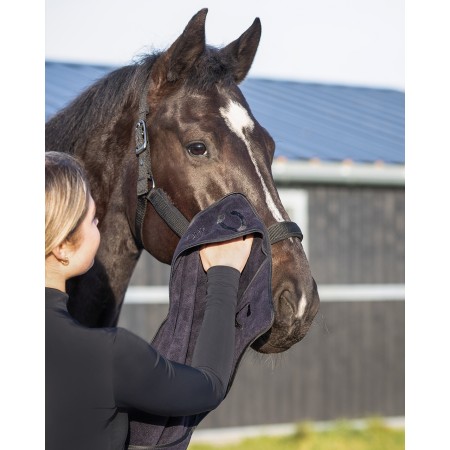 Toalla para Caballo "HANDS-IN" de 65x35cm de QHP