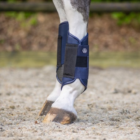 Comprar Protectores traseros de Cross  Q-CROSS de QHP