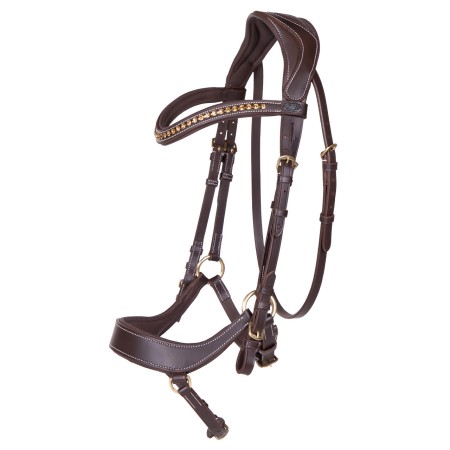 Brida Devi de QHP para Caballo