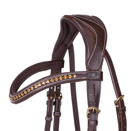 Brida Devi de QHP para Caballo