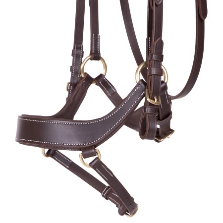 Brida Devi de QHP para Caballo