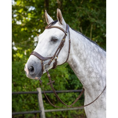 Brida Devi de QHP para Caballo