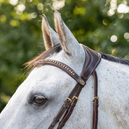 Brida Devi de QHP para Caballo