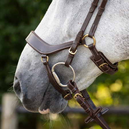 Brida Devi de QHP para Caballo