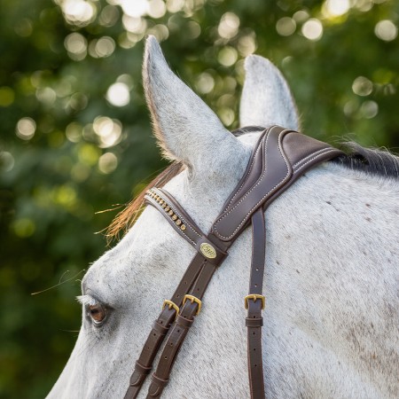 Brida Devi de QHP para Caballo