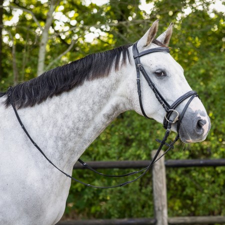 Cabezada de montar "LUXURY" de QHP