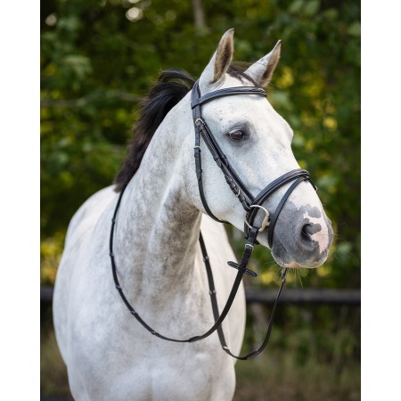 Cabezada de montar "LUXURY" de QHP