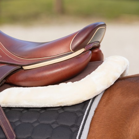 Comprar Salvadorso con borreguillo Ontario de QHP Online