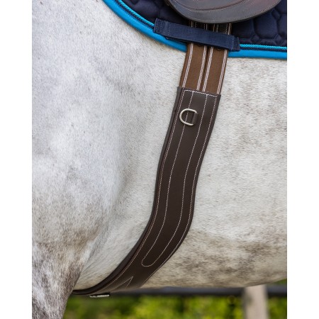 Cincha Anatómica Luxury de QHP para Caballo