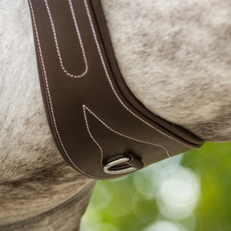Cincha Anatómica Luxury de QHP para Caballo