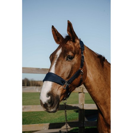 Cabezada de Cuadra "BREEZE" de EQUITHÈME