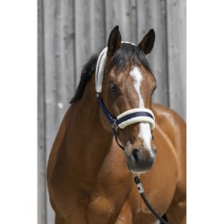 Cabezada de Cuadra sintética de RIDING WORLD