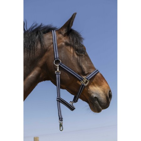 Cabezada de Cuadra "GROOMING" de NORTON