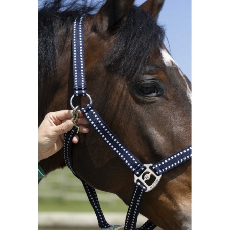 Cabezada de Cuadra "GROOMING" de NORTON