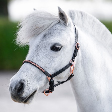 Cabezada de Cuero para Poni/Potro "CRYSTAL ROSEGOLD" de HARRY'S HORSE