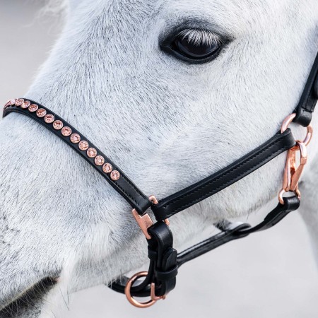 Cabezada de Cuero para Poni/Potro "CRYSTAL ROSEGOLD" de HARRY'S HORSE