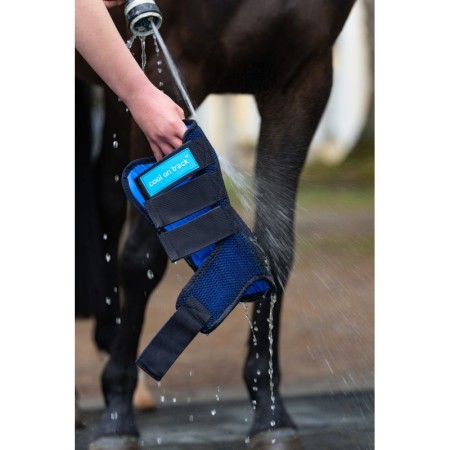 Protectores de Reposo "COOL ON TRACK 2.0" de BACK ON TRACK®