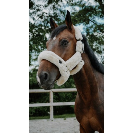 Cabezada de Cuadra "JE T'AIME" de EQUITHÈME