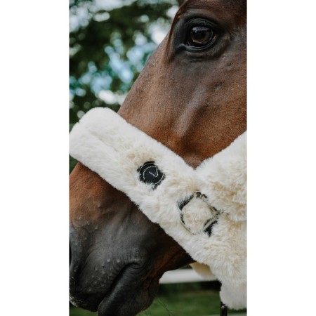 Cabezada de Cuadra "JE T'AIME" de EQUITHÈME