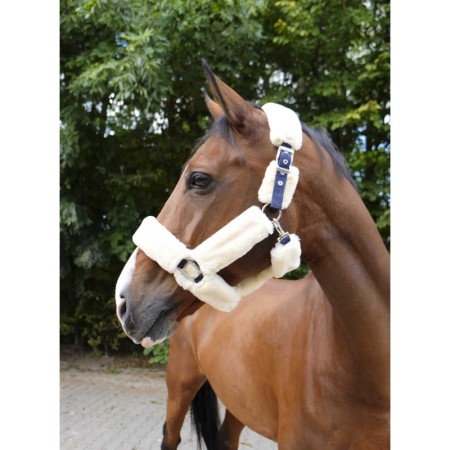 Cabezada de Cuadra para Caballo Teddy de Equithème