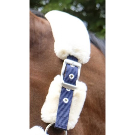 Cabezada de Cuadra para Caballo Teddy de Equithème