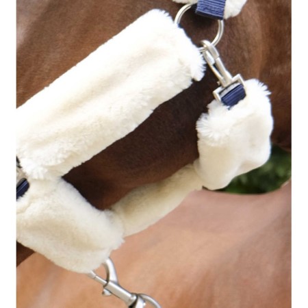 Cabezada de Cuadra para Caballo Teddy de Equithème