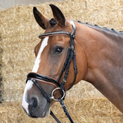 Cabezada de Montar "BLACK COGNAC" de HARRY'S HORSE