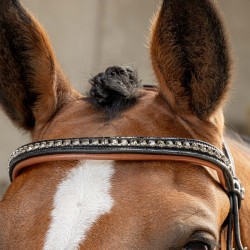 Cabezada de Montar "BLACK COGNAC" de HARRY'S HORSE 2
