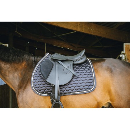 Silla de montar para Salto "CLARINO" de NORTON