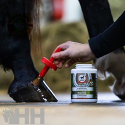Comprar Aceite para cascos Hoof Lab de LEOVET Online 2
