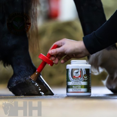 Comprar Aceite para cascos Hoof Lab de LEOVET Online