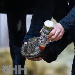 Comprar Endurecedor de cascos Hoof Lab 200ml de LEOVET Online 2