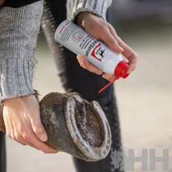 Comprar Higienizador de cascos Frogmedic 200ml de LEOVET Online 2