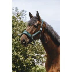 OT Cabezada de nylon "3D Mesh" de EQUITHÈME Verde Talla Cob