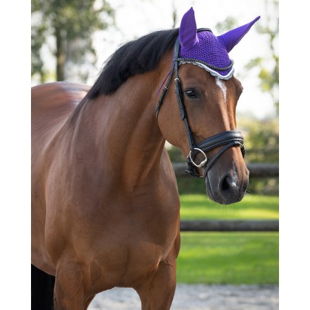 OT Orejeras anti-moscas de Q-ESSENTIALS Violeta talla Pony